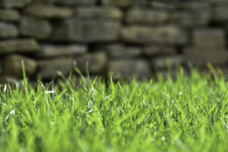 Nachbarrecht beim Gartenbau