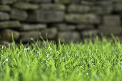 Nachbarrecht beim Gartenbau