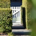 Vertrag für den Bau eines Gartenzauns – worauf sollten Verbraucher in Deutschland achten?