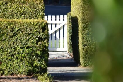 Vertrag für den Bau eines Gartenzauns – worauf sollten Verbraucher in Deutschland achten?