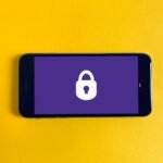 Datenschutz vs. Transparenz