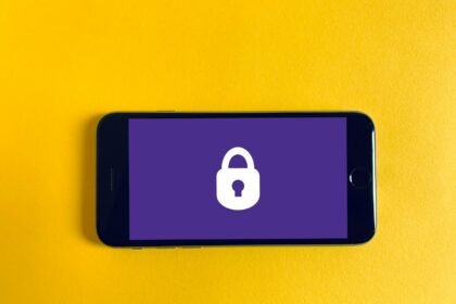 Datenschutz vs. Transparenz